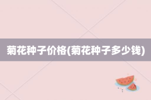 菊花种子价格(菊花种子多少钱)