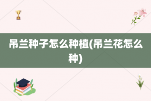 吊兰种子怎么种植(吊兰花怎么种)