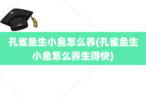 孔雀鱼生小鱼怎么养(孔雀鱼生小鱼怎么养生得快)