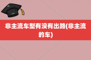 非主流车型有没有出路(非主流的车)