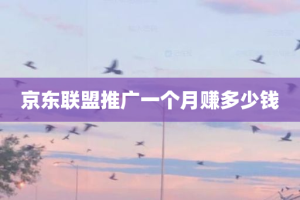 京东联盟推广一个月赚多少钱