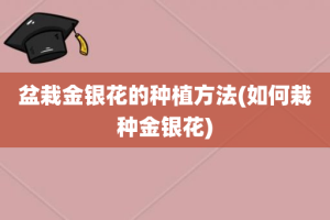 盆栽金银花的种植方法(如何栽种金银花)