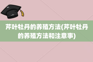 芹叶牡丹的养殖方法(芹叶牡丹的养殖方法和注意事)