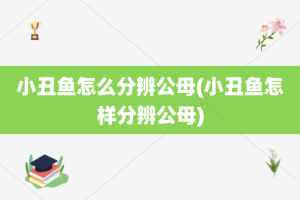 小丑鱼怎么分辨公母(小丑鱼怎样分辨公母)