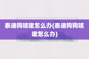 泰迪狗咳嗽怎么办(泰迪狗狗咳嗽怎么办)