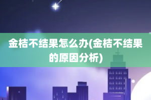 金桔不结果怎么办(金桔不结果的原因分析)