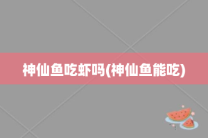 神仙鱼吃虾吗(神仙鱼能吃)