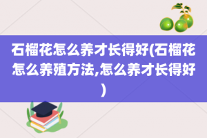 石榴花怎么养才长得好(石榴花怎么养殖方法,怎么养才长得好)