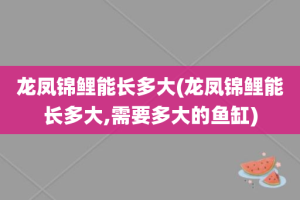 龙凤锦鲤能长多大(龙凤锦鲤能长多大,需要多大的鱼缸)