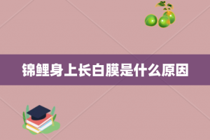 锦鲤身上长白膜是什么原因