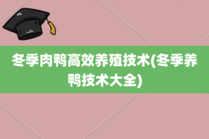 冬季肉鸭高效养殖技术(冬季养鸭技术大全)