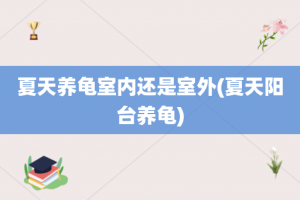 夏天养龟室内还是室外(夏天阳台养龟)