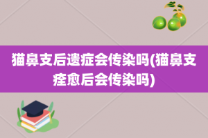 猫鼻支后遗症会传染吗(猫鼻支痊愈后会传染吗)