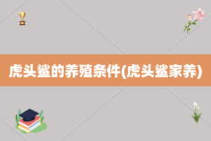 虎头鲨的养殖条件(虎头鲨家养)