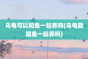 乌龟可以和鱼一起养吗(乌龟能跟鱼一起养吗)