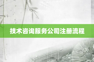 技术咨询服务公司注册流程