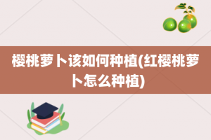 樱桃萝卜该如何种植(红樱桃萝卜怎么种植)