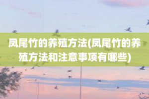 凤尾竹的养殖方法(凤尾竹的养殖方法和注意事项有哪些)