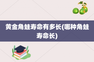 黄金角蛙寿命有多长(哪种角蛙寿命长)