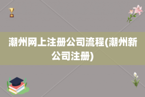 潮州网上注册公司流程(潮州新公司注册)