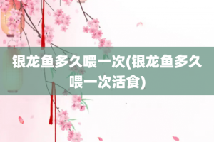 银龙鱼多久喂一次(银龙鱼多久喂一次活食)