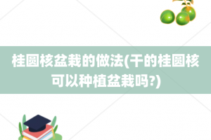 桂圆核盆栽的做法(干的桂圆核可以种植盆栽吗?)