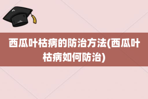 西瓜叶枯病的防治方法(西瓜叶枯病如何防治)