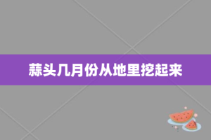 蒜头几月份从地里挖起来