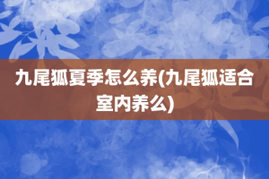 九尾狐夏季怎么养(九尾狐适合室内养么)