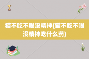 猫不吃不喝没精神(猫不吃不喝没精神吃什么药)