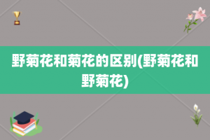 野菊花和菊花的区别(野菊花和野菊花)