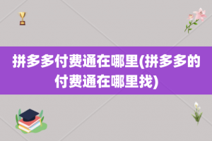 拼多多付费通在哪里(拼多多的付费通在哪里找)