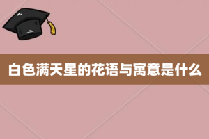 白色满天星的花语与寓意是什么