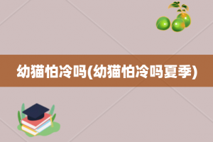 幼猫怕冷吗(幼猫怕冷吗夏季)