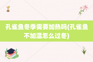 孔雀鱼冬季需要加热吗(孔雀鱼不加温怎么过冬)
