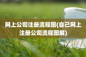 网上公司注册流程图(自己网上注册公司流程图解)