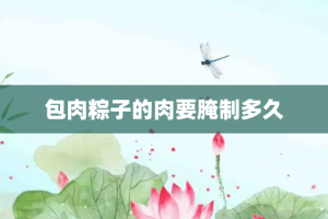 包肉粽子的肉要腌制多久
