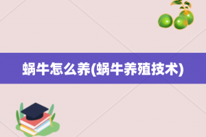 蜗牛怎么养(蜗牛养殖技术)