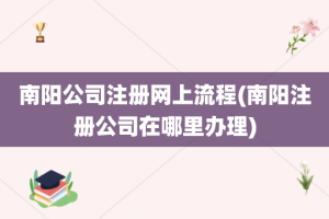 南阳公司注册网上流程(南阳注册公司在哪里办理)