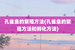 孔雀鱼的繁殖方法(孔雀鱼的繁殖方法和孵化方法)