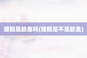 塘鲺是鲶鱼吗(塘鲺是不是鲶鱼)