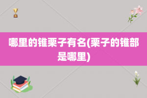 哪里的锥栗子有名(栗子的锥部是哪里)