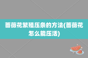 蔷薇花繁殖压条的方法(蔷薇花怎么能压活)
