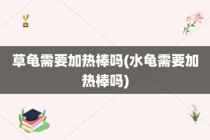 草龟需要加热棒吗(水龟需要加热棒吗)