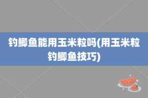 钓鲫鱼能用玉米粒吗(用玉米粒钓鲫鱼技巧)