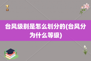 台风级别是怎么划分的(台风分为什么等级)