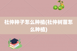 杜仲种子怎么种植(杜仲树苗怎么种植)