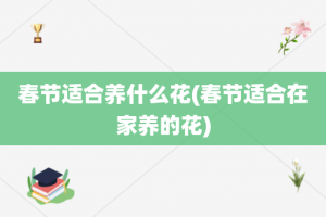 春节适合养什么花(春节适合在家养的花)