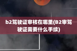 b2驾驶证审核在哪里(B2审驾驶证需要什么手续)