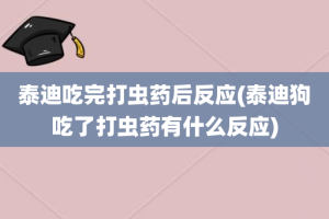泰迪吃完打虫药后反应(泰迪狗吃了打虫药有什么反应)